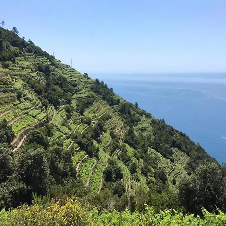 Sergiohome * ラ・スペツィア