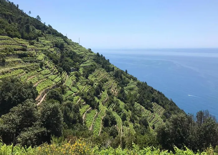 Sergiohome * Специя